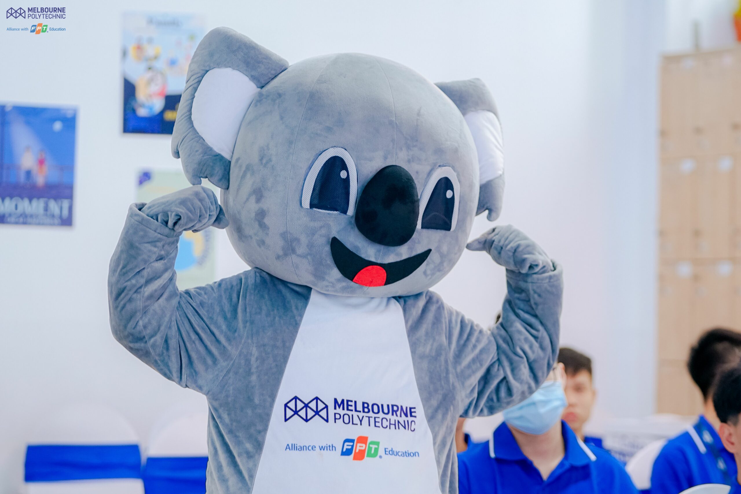 koala - linh vật biểu tượng của melbourne polytechnic việt nam